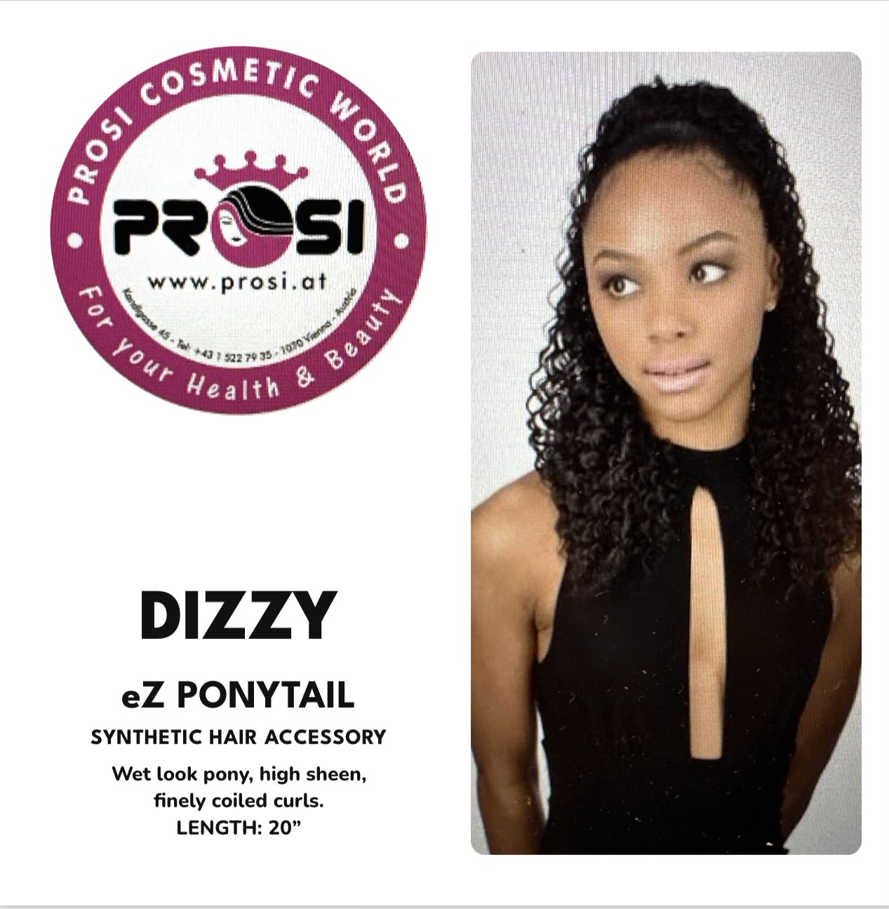 DIZZY eZ PONYTAIL COLS: 1, 1B, 2, 4